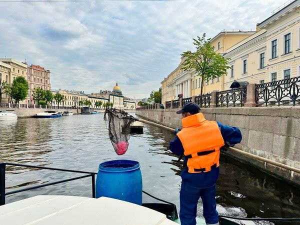 Акватории Петербурга привели в порядок к празднику