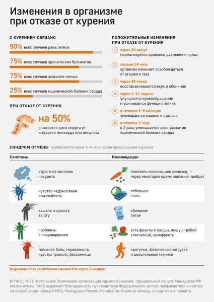 Голикова сообщила о снижении числа курящих мужчин в два раза с 2009 года - новости экологии на ECOportal